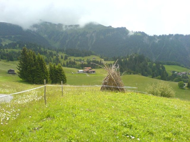 dsc00007