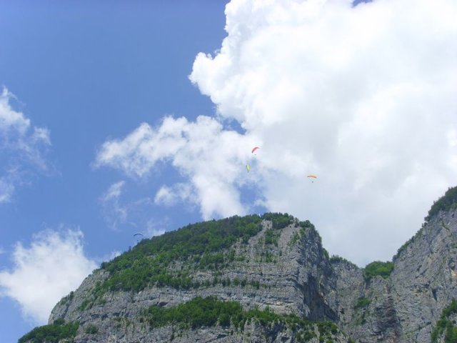 fanasgcm_009