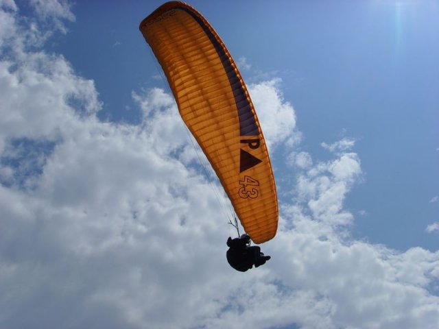 fanasgcm_014