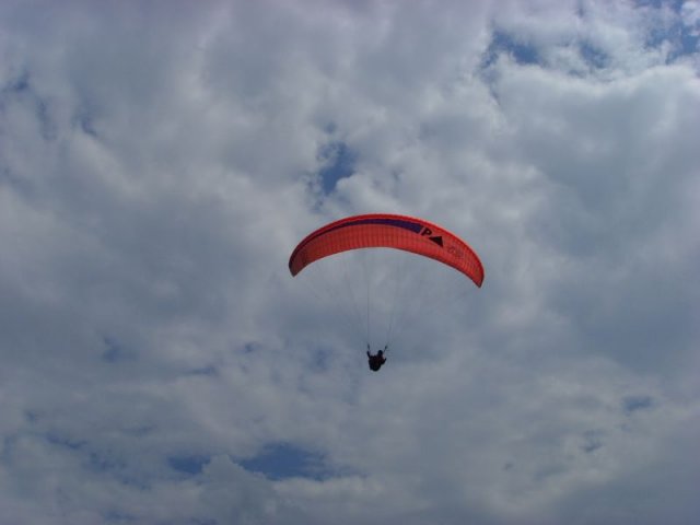 fanasgcm_016