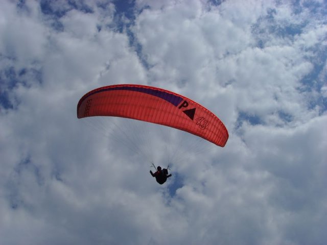 fanasgcm_017
