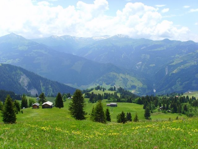 fanasgcm_031