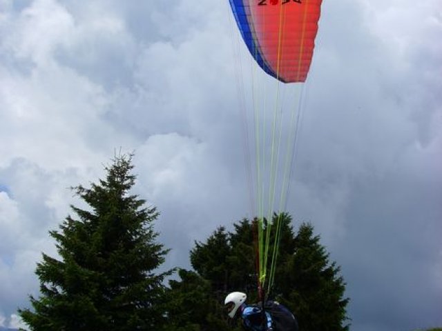 fanasgcm_039
