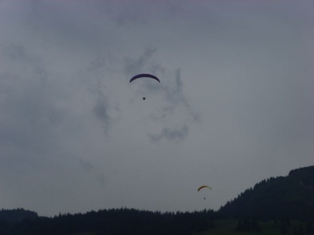 fanasgcm_082