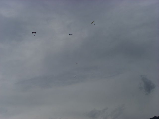 fanasgcm_083