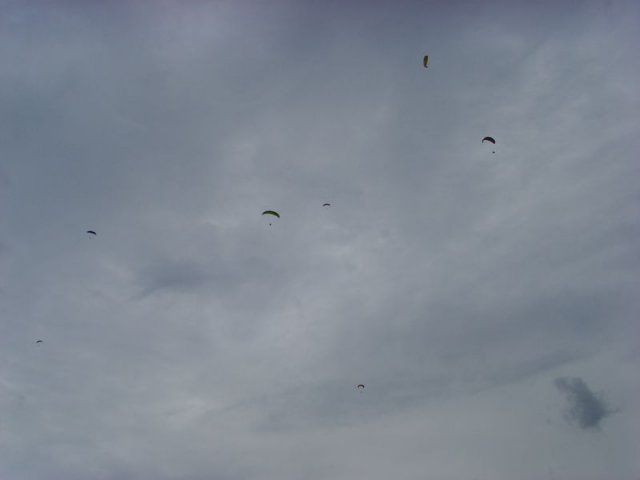fanasgcm_086