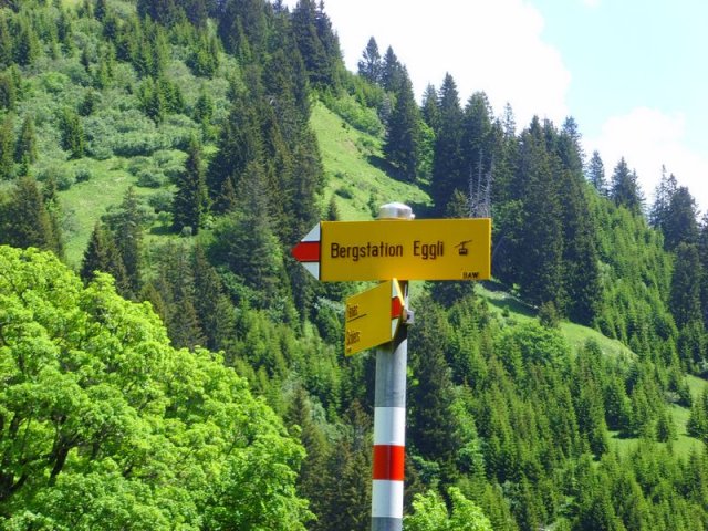 fanasgcm_097