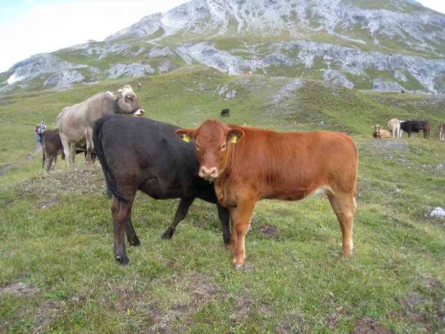 img_1040