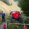 Linderenputz