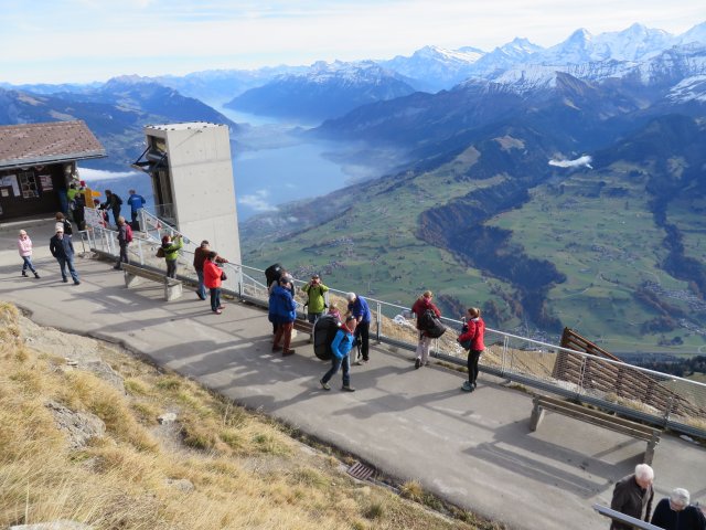 Wildfliegen