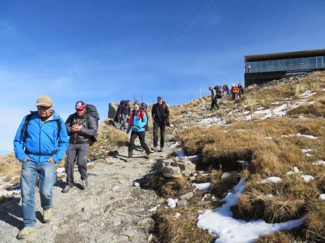 Wildfliegen