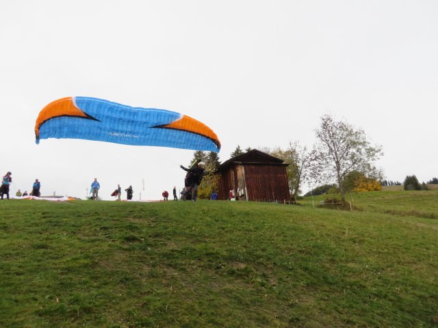 Wildfliegen