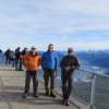 Wildfliegen