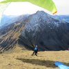 Wildfliegen