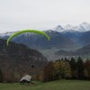 Wildfliegen