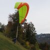 Wildfliegen