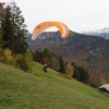 Wildfliegen