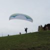 Wildfliegen