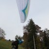Wildfliegen