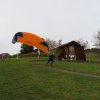 Wildfliegen