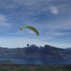Wildfliegen