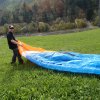 Wildfliegen