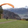 Wildfliegen